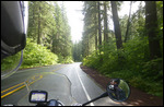 Forest roads