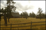 Out in to the fields