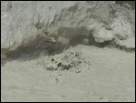 Lassen Volcanic National Park2