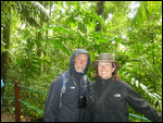 Rain forest in the rain
