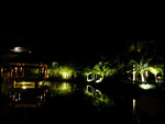 Night at the Marriott