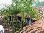 Courtyard Garden