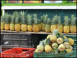 Pinapples