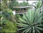 hotel gardens