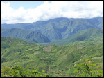 Another view
