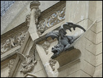 Gargole