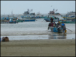 Busy fishing port
