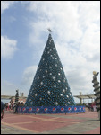 Christmas is coming