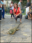 Tracy and the lizard