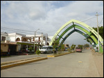 Olmos