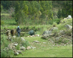 Train journey through Sacred Valley
