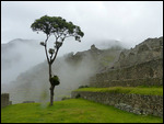 Machu Pichu