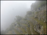 Machu Pichu