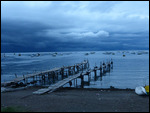 Storm coming2