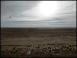 Salt flats