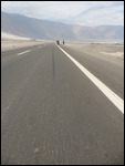 50m skid