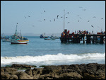 Mancora