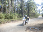 Conguillio National Park4
