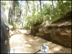 Conguillio National Park5