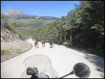 Road out of park