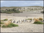 Back to the burrows