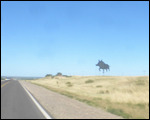 Hogs away