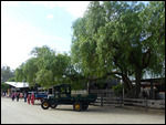 Eucha transport