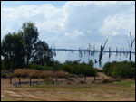 Swan river