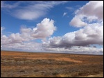 Outback