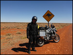 Kangaroo warning