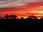 Firery sky