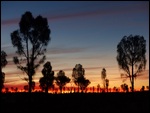 Sunset in the desert