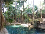 Mataranka hot springs
