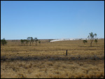 Road train coming