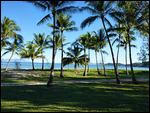 By the beach Magnetic island
