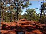 Aussie goat track6