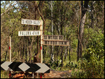 Aussie goat track7