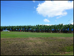 Road to Cairns
