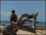 Barrier reef