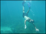 Barrier reef