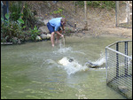Hartley Crocodile Farm