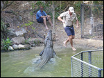Hartley Crocodile Farm