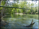 Hartley Crocodile Farm