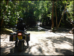 CookeTown/Daintree trail