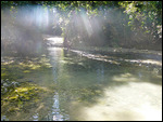 CookeTown/Daintree trail