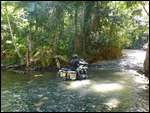 CookeTown/Daintree trail