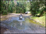 CookeTown/Daintree trail