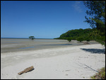CookeTown/Daintree trail