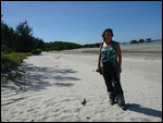CookeTown/Daintree trail