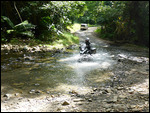 CookeTown/Daintree trail